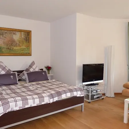 Schwarzwaldturmzimmer Habitación en casa particular Lahr (Baden-Wurttemberg)