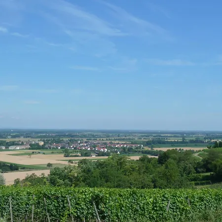 Schwarzwaldturmzimmer Habitación en casa particular